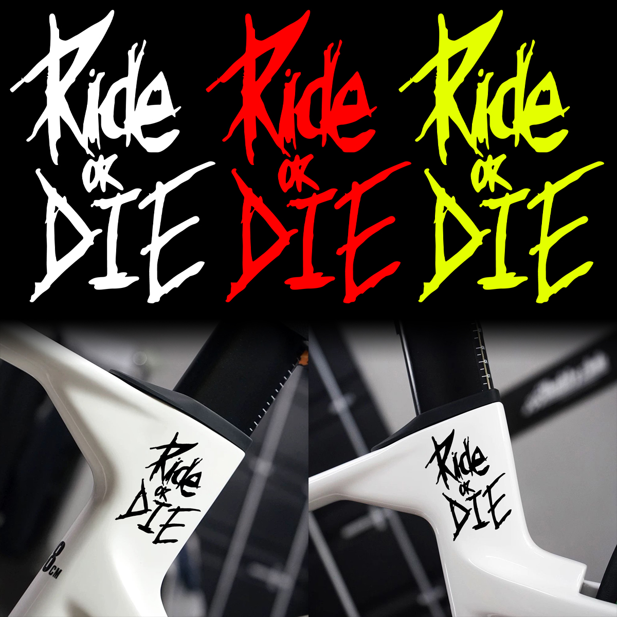 Ride or Die Bike E-Bike Frame  - Mountain Biking Helmet incelemesi ve fiyatı